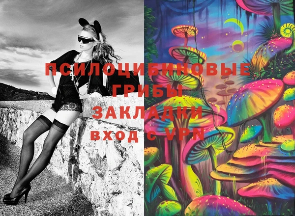 марки nbome Заводоуковск