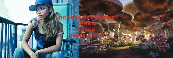 mdpv Приозерск