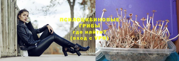 прущая мука Пролетарск